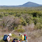 Clarence Peak can be seen along the Yuraygir Coastal Walk in Yuraygir National Park (Image: Debra Novak/DECCW) Clarence Peak can be seen along the Yuraygir Coastal Walk in Yuraygir National Park (Image: Debra Novak/DECCW)
