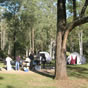 Bennetts Ridge campsite, in Euroka, Blue Mountains National Park (Image: A Hutchings) Bennetts Ridge campsite, in Euroka, Blue Mountains National Park (Image: A Hutchings)