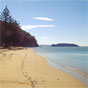 View along the beach at The Basin in Ku-ring-gai Chase National Park (Image: DECC) View along the beach at The Basin in Ku-ring-gai Chase National Park (Image: DECC)