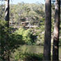 View from Commandment Rock picnic area in Lane Cove National Park (Image: Lane Cove River Touris Park/DECCW) View from Commandment Rock picnic area in Lane Cove National Park (Image: Lane Cove River Touris Park/DECCW)