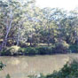 Riverside picnic area with large shelter, tables, wood-fired barbeques & toilets (Image: Lane Cove River Touris Park/DECCW) Riverside picnic area with large shelter, tables, wood-fired barbeques & toilets (Image: Lane Cove River Touris Park/DECCW)