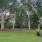 Local setting for Lane Cove River Tourist Park cabins in Lane Cove National Park (Image: Michael van Ewijk/DECCW) Local setting for Lane Cove River Tourist Park cabins in Lane Cove National Park (Image: Michael van Ewijk/DECCW)