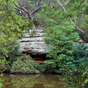Scenery around Lane Cover River Tourist Park in Lane Cove National Park (Image: Michael van Ewijk/DECCW) Scenery around Lane Cover River Tourist Park in Lane Cove National Park (Image: Michael van Ewijk/DECCW)