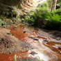 A red algae called rhodophyta adds colour to the creek water in Bells Grotto, Wollemi National Park (Image: Rosie Nicolai/OEH) A red algae called rhodophyta adds colour to the creek water in Bells Grotto, Wollemi National Park (Image: Rosie Nicolai/OEH)