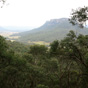 Donkey Mountain near the Glow Worm Tunnel, Wollemi National Park (Image: Rosie Nicolai/OEH) Donkey Mountain near the Glow Worm Tunnel, Wollemi National Park (Image: Rosie Nicolai/OEH)