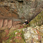 Steps wind up between crevices on the Glow Worm Tunnel walk, Wollemi National Park (Image: Rosie Nicolai/OEH) Steps wind up between crevices on the Glow Worm Tunnel walk, Wollemi National Park (Image: Rosie Nicolai/OEH)