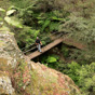 Crossing a fern-filled gully on the Glow Worm Tunnel walk, Wollemi National Park (Image: Rosie Nicolai/OEH) Crossing a fern-filled gully on the Glow Worm Tunnel walk, Wollemi National Park (Image: Rosie Nicolai/OEH)