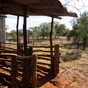 Shearing station at Gundabooka Shearers Quarters in Gundabooka National Park (Image: Boris Hlavica/DECCW) Shearing station at Gundabooka Shearers Quarters in Gundabooka National Park (Image: Boris Hlavica/DECCW)