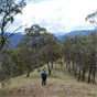 Walking down the ridge to Green Gully Hut, The Green Gully Track, Oxley Wild Rivers National Park (Image: Shane Ruming) Walking down the ridge to Green Gully Hut, The Green Gully Track, Oxley Wild Rivers National Park (Image: Shane Ruming)
