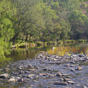 Water view, Green Gully Track, Oxley Wild Rivers National Park (Image: Colin Pateman/DECCW) Water view, Green Gully Track, Oxley Wild Rivers National Park (Image: Colin Pateman/DECCW)