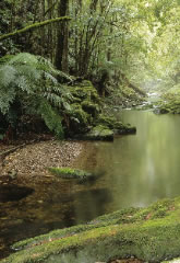 Deua National Park
