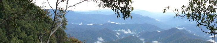 New England National Park, one of the parks in the Gondwana Rainforests of Australia World Heritage Area