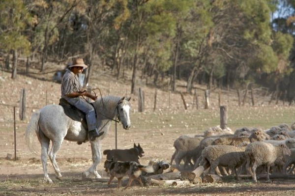 Australian Bush Women