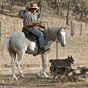 Bill mustering sheep on the Farmstay