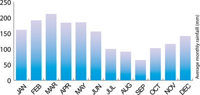 yearly precipitation rainforest rainfall amount