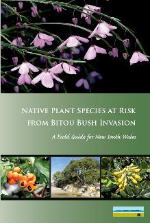 Native plants at risk from bitou bush fieldguide