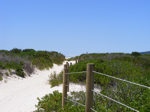 Fencing to prevent 4wd access