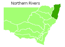 native bees of the sydney region pdf