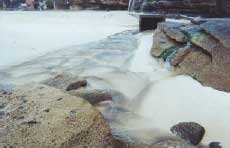 image: stormwater pollution at Bronte Beach, 18 Janury 2001 - photo taken by community volurnteer, David Ellison