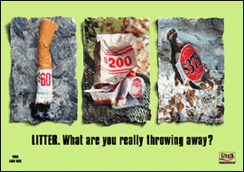 Litter poster 1