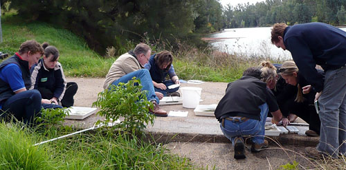 NSW Waterwatch Coordinators Training by the Hunter-Central Rivers CMA Waterwatch Coordinators in Dubbo