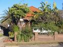 53 Wattle Street, Haberfield 53 Wattle Street, Haberfield