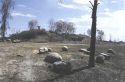 rez 