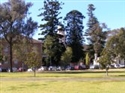 rez 
