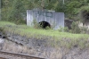 rez 