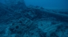 PHOTO: Image: Underwater images after AUSROV footage 2019.