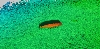 PHOTO: Multibeam image of the wreck site undertaken by Australia's Marine National Facility MV Southern Surveyor in January 2012.  Note that the vessel is lying upside down on the seabed.