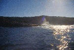 photo: City of Sydney wreck site. Photograph by David Nutley