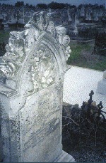 photo: Grave of James Johnson, Sandgate Cemetery, Newcastle. Photograph by Tim Smith.
Age at death - 78 yrs. Buried 15 April 1915 next to first wife, Mary. Grave 26, Section B Special, Catholic.