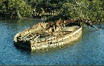 photo: Wreck of barge near historic quarry.