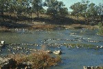 photo: View of the Brewarrina fishtraps. Photo: Vince Scarcella
