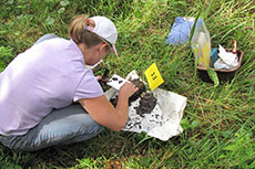 A person taking soil samples.