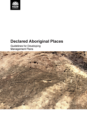 Cover image for Declared Aboriginal Places: Guidelines for Developing Management Plans