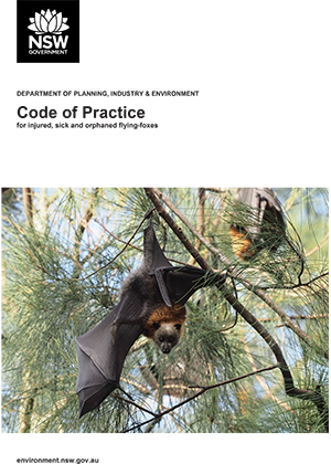 Cover of the Code of Practice for Injured, Sick and Orphaned Flying-Foxes