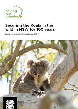 Saving Our Species Iconic Koala Project 2017–21