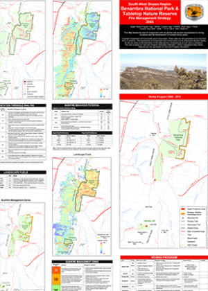 Benambra National Park and Tabletop Nature Reserve Fire Management Strategy
