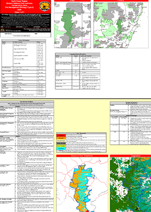 Bindarri National Park and State Conservation Area Fire Management Strategy