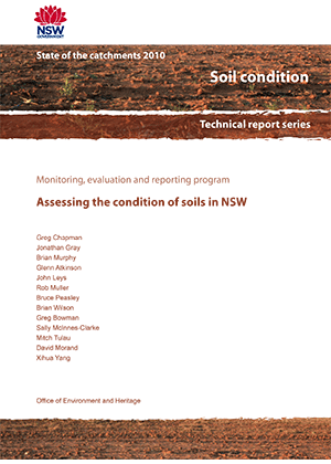 Cover of Assessing the condition of soils in NSW