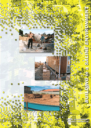 Cover image for Building in a Saline Environment
