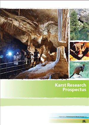 Cover for Karst Research Prospectus