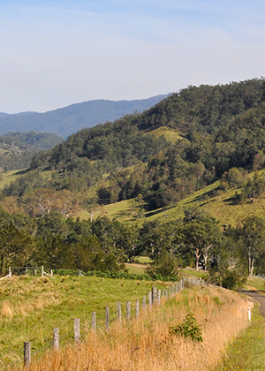Managing NSW’s diverse landscapes productively yet sustainably requires access to accurate, high-quality soil and   land information.