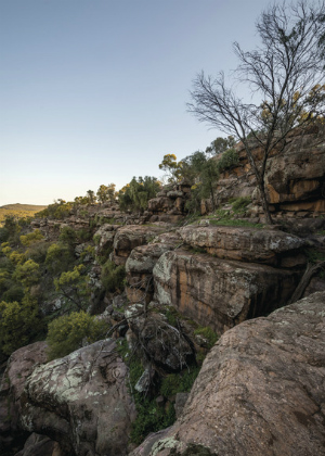 Cocoparra National Park and Cocoparra Nature Reserve Plan of Management