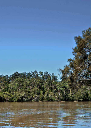 Georges River National Park Plan of Management
