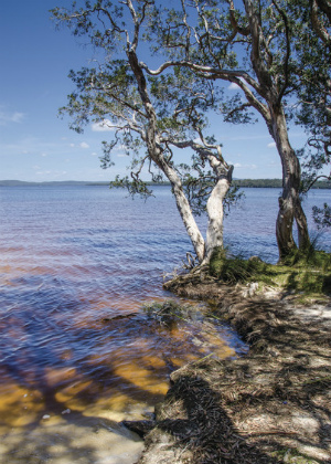 Myall Lakes National Park, Little Broughton Island and Stormpetrel Nature Reserves Plan of Management