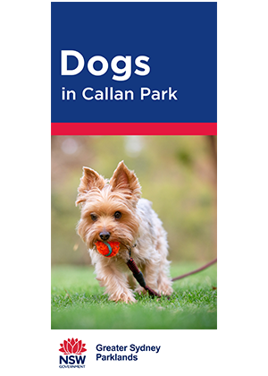 Dogs in Callan Park