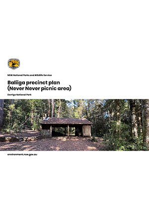 Baliiga precinct plan